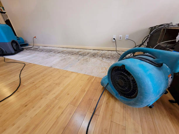 Professional Ceiling Water Damage Repair technician working in Goodhue, MN